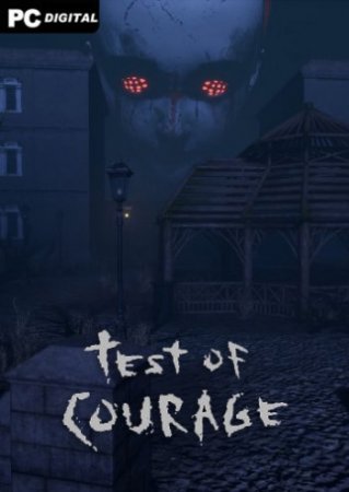 Test Of Courage (2020) PC | Лицензия